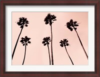 Framed Palm Trees 1997 Copper