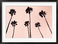 Framed Palm Trees 1997 Copper