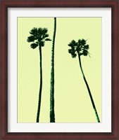 Framed Palm Trees 2000 (Cyan)