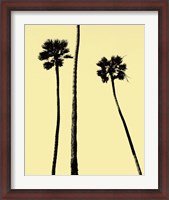 Framed Palm Trees 2000 (Yellow)
