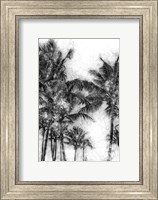 Framed Dorado Palms 1