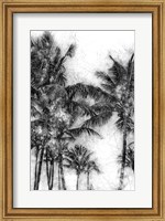 Framed Dorado Palms 1