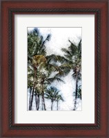 Framed Dorado Palms 2