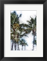 Framed Dorado Palms 2