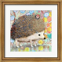 Framed Hedgie