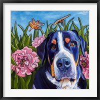 Framed Dog and Dragonflies