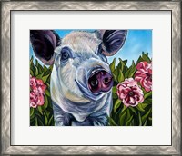 Framed Pigs and Peonies