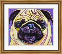 Framed Purple Pug