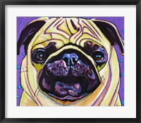 Framed Purple Pug