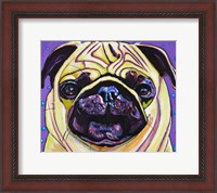 Framed Purple Pug