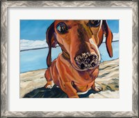 Framed Sand Dog