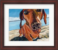 Framed Sand Dog