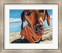 Framed Sand Dog