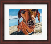 Framed Sand Dog