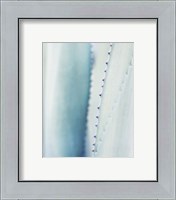 Framed 'Pale Blue Agave No. 2' border=