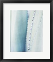 Framed Pale Blue Agave No. 2