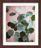 Framed Sage Eucalyptus No. 1