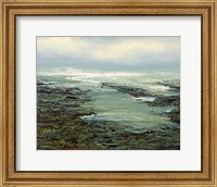 Framed Shallow Reef