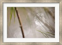 Framed Abstract by the River