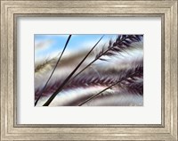 Framed Grasses No. 8