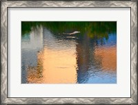 Framed Reflection on the Iowa River No. 1