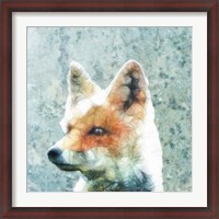 Framed Abstract Fox