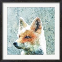 Framed Abstract Fox