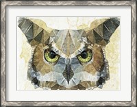 Framed Abstract Owl