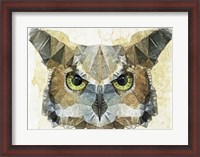 Framed Abstract Owl