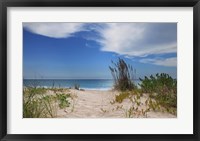 Framed Dune Trail