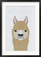 Framed Alpaca