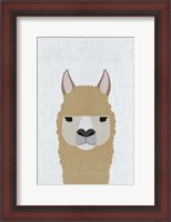 Framed Alpaca