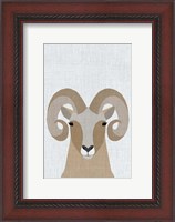Framed Bighorn Sheep
