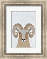 Framed Bighorn Sheep