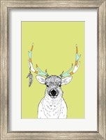 Framed Elk & Feathers