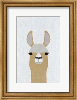 Framed Llama