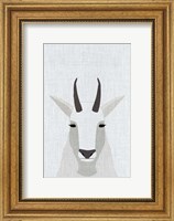 Framed Mountain Goat