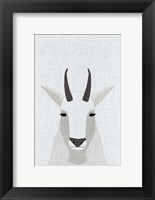 Framed Mountain Goat