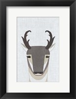 Framed Pronghorn Antelope