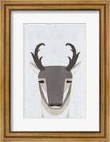 Framed Pronghorn Antelope