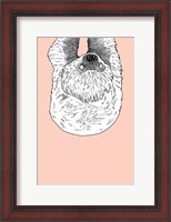 Framed Sloth