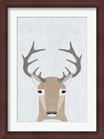 Framed Whitetail Deer