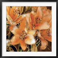 Framed Apricot Dream I