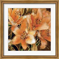 Framed Apricot Dream I