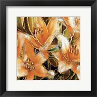 Framed Apricot Dream II