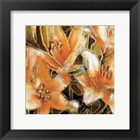 Framed 'Apricot Dream II' border=