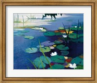 Framed Water Lilies