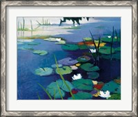Framed Water Lilies