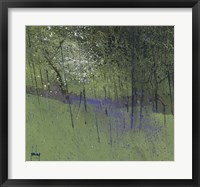 Framed Bluebells