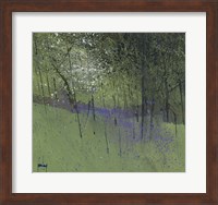 Framed Bluebells